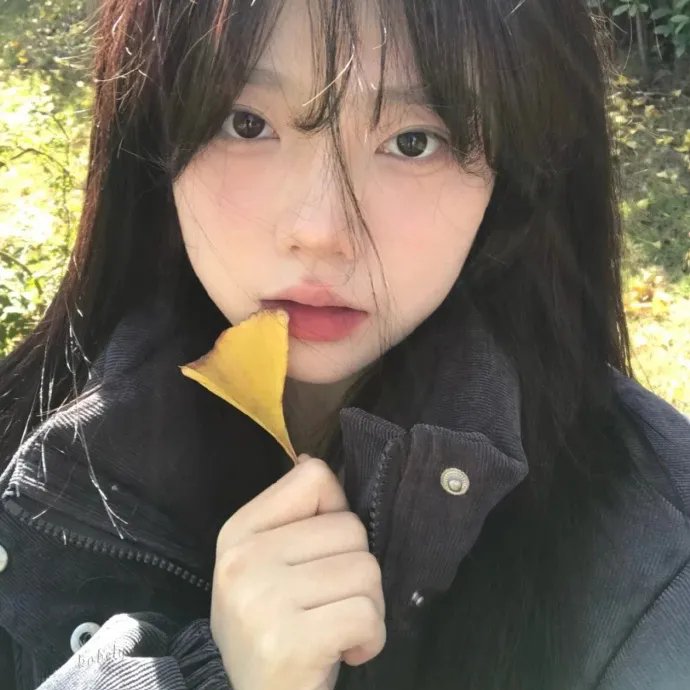 锁麟囊